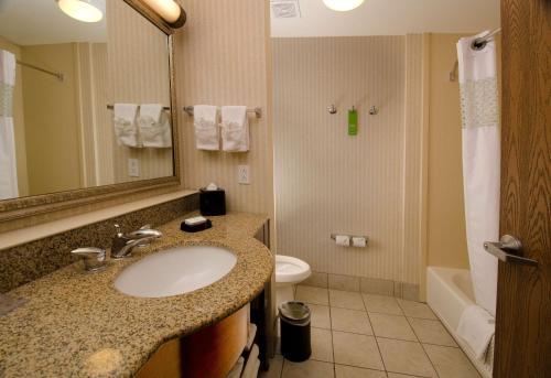 La salle de bains est pourvue d'un lavabo, de toilettes et d'un miroir. dans l'établissement Hampton Inn & Suites Gallup, à Gallup