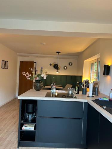 a kitchen with a sink and a counter top at Appartement fliegender Hirsch in Bäk