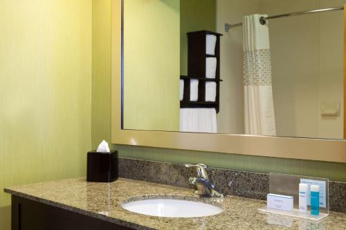 a bathroom with a sink and a large mirror at Hampton Inn Elkton in Elkton