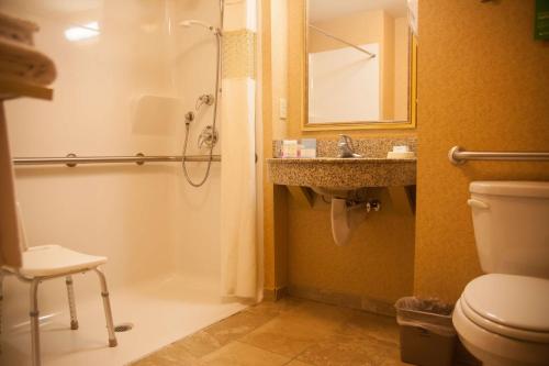ein Bad mit einer Dusche, einem Waschbecken und einem WC in der Unterkunft Hampton Inn Mountain Home in Mountain Home