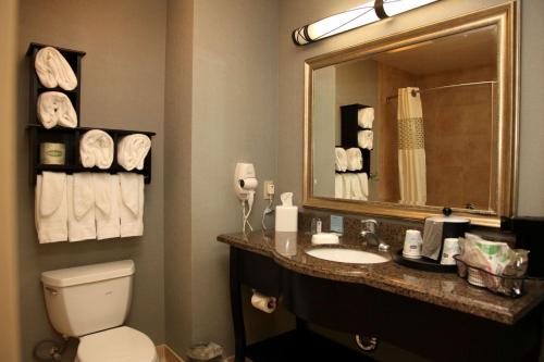 a bathroom with a toilet and a sink and a mirror at Hampton Inn & Suites Carlsbad in Carlsbad