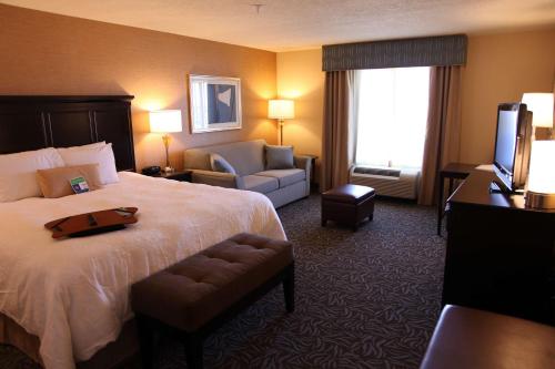 Habitación de hotel con cama grande y TV en Hampton Inn & Suites Carlsbad en Carlsbad