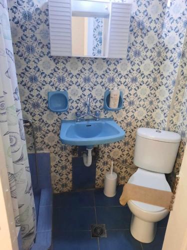a small bathroom with a toilet and a sink at Argiris Old City House 2 in Kalabaka
