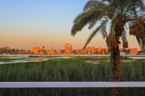 a palm tree in a field with a city in the background at Royal Nile Villa - Nile View Apartment 1 in Luxor