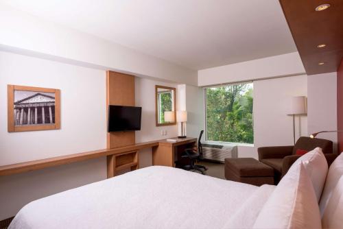 Μια τηλεόραση ή/και κέντρο ψυχαγωγίας στο Hampton by Hilton Guadalajara Expo