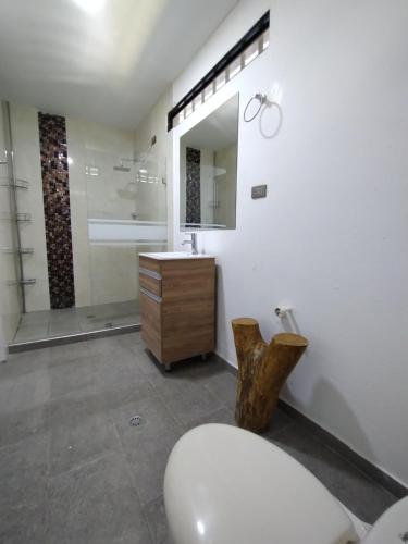 La salle de bains est pourvue de toilettes, d'un lavabo et d'un miroir. dans l'établissement Finca Santa Clara, Rivera-Huila, à Rivera