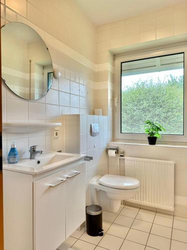 a bathroom with a toilet and a sink and a mirror at FeWo-Julius am Weser-Sandstrand in Berne