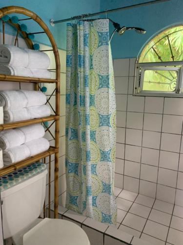 a bathroom with a shower curtain and a toilet at Casa Papaya in Uvita