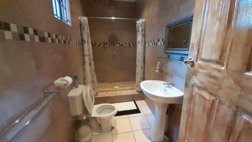 a bathroom with a toilet and a sink and a shower at Kadichueni Guest House in Zeerust