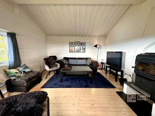 a living room with a couch and a television at Rustic cabin on Lake Sjusjøen with a lovely view in Ringsaker