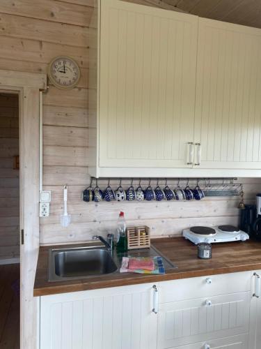 Dapur atau dapur kecil di Log house with a view - Bjalki