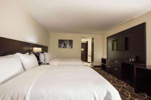 Postel nebo postele na pokoji v ubytování Doubletree By Hilton Toluca