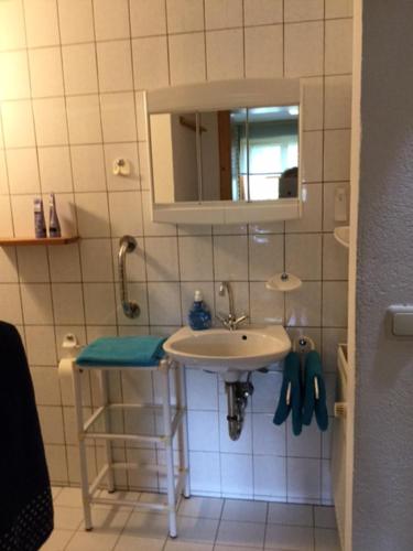 uma pequena casa de banho com um lavatório e um espelho em Bayerischer Wald - Balbersdorf em Waffenbrunn