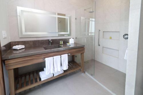 a bathroom with a sink and a shower at Hilton Garden Inn Monterrey Obispado in Monterrey