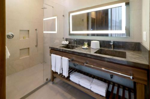 La salle de bains est pourvue d'un lavabo et d'une douche. dans l'établissement Hilton Garden Inn Monterrey Obispado, à Monterrey