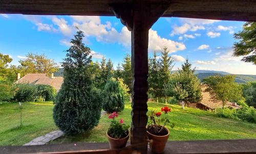 Fotografie z fotogalerie ubytování Pensiunea Marissandra v destinaci Răzoare