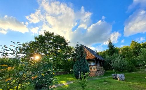 Fotografie z fotogalerie ubytování Pensiunea Marissandra v destinaci Răzoare