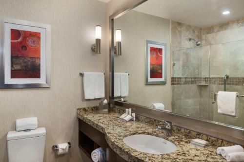 uma casa de banho com um lavatório, um espelho e um WC. em Hilton Garden Inn Queretaro em Querétaro