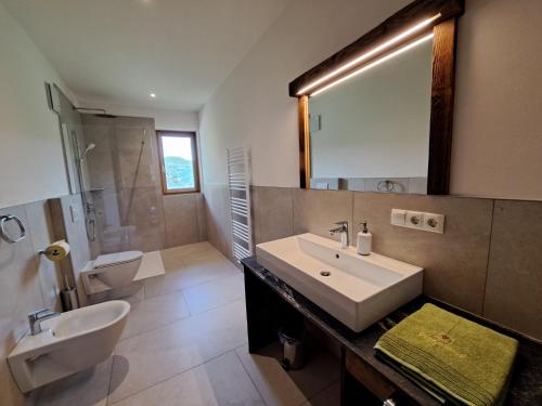 ein Badezimmer mit einem Waschbecken, einem WC und einem Spiegel in der Unterkunft Pignathof Castanea in Atzwang