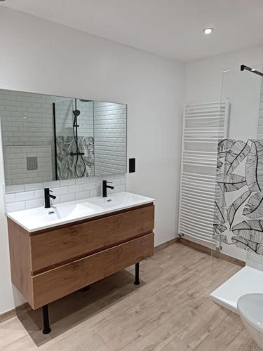 une salle de bain avec un lavabo et un miroir et des toilettes dans l'établissement Maison de ville avec terrasse, à Épinal
