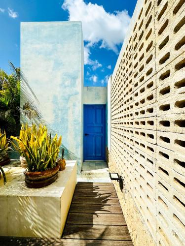 a blue door on the side of a building at CASA CHAKÁ BOUTIQUE in Mérida