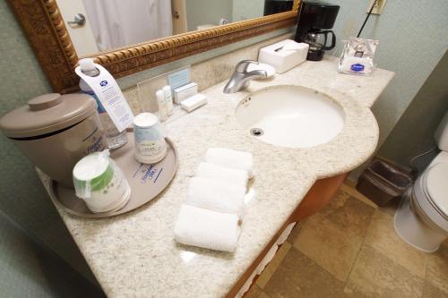 a bathroom counter with a sink and a toilet at Hampton Inn Tampico Airport in Tampico