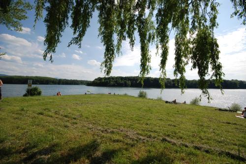 a park with people sitting on the grass near a lake at Areál Přístav in Horní Soběšovice