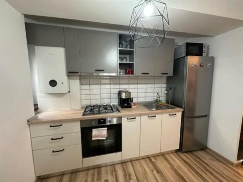 La cuisine est équipée de placards blancs et d'un réfrigérateur en acier inoxydable. dans l'établissement ESCAPE LOUNGE, à Craiova
