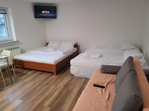 克拉科夫的住宿－Apartamenty Kącik 8，一张沙发和一台电视机的客房内的两张床