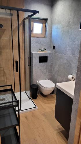 uma casa de banho com um chuveiro, um WC e um lavatório. em Sękowy Domek em Świeradów-Zdrój