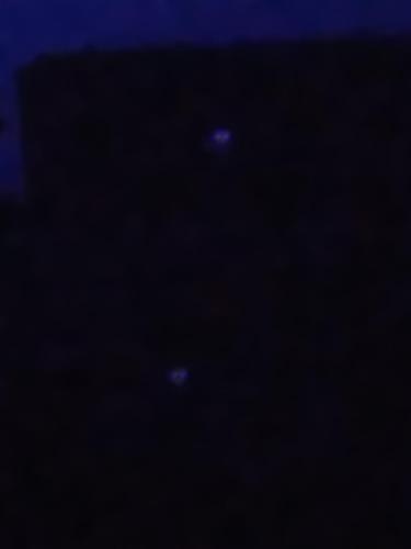 uma foto noturna de estrelas no céu em Camp M & M 