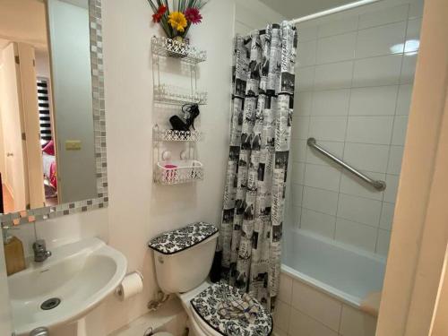 a bathroom with a toilet and a sink and a shower at Hermoso Departamento aire acondicionado, Internet in Talca