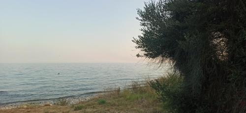 Φυσικό τοπίο κοντά σε αυτή η παραθεριστική κατοικία