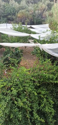 Φυσικό τοπίο κοντά σε αυτή η παραθεριστική κατοικία