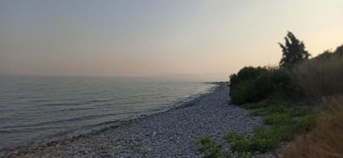 Φυσικό τοπίο κοντά σε αυτή η παραθεριστική κατοικία