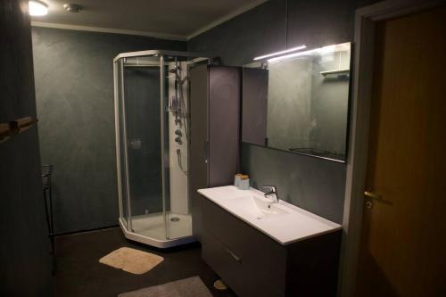 a bathroom with a shower and a sink and a sink at Hus i Sør-Tverrfjord 