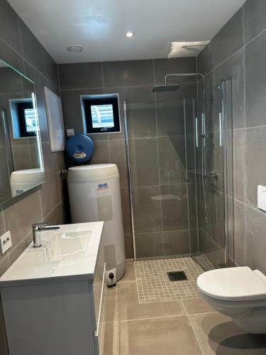 a bathroom with a shower and a sink and a toilet at Skagesund guest house with free parking in Tromsø