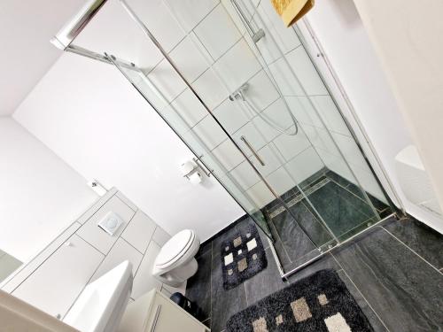 a bathroom with a toilet and a glass wall at iBO-APART 1 Zimmer Apartment in Herzogenaurach in Herzogenaurach