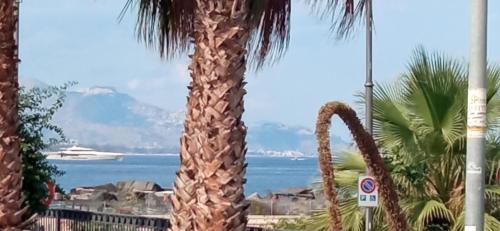 a palm tree with a cruise ship in the background at Home Tropicana in Mascali