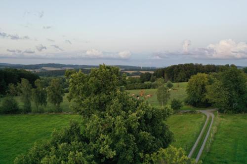 an overhead view of a field with a tree at Erholen und Wohlfühlen Auf dem Knick in Detmold