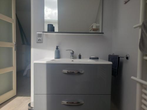 ein Bad mit einem Waschbecken und einem Spiegel in der Unterkunft Le charmillon, Appartement cosi avec double garage in Mancey