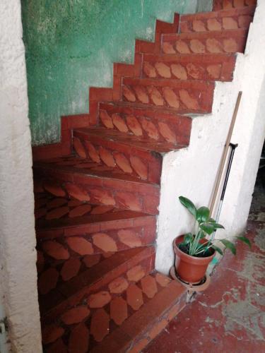 een stenen trap met een potplant erop bij Casa familiar in Soacha