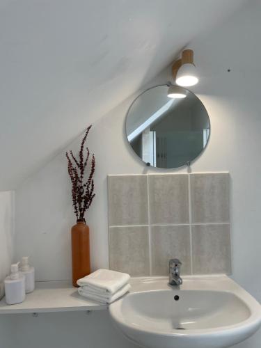 uma casa de banho com um lavatório e um espelho em Les Epicuries de la ferme Ecolodge 