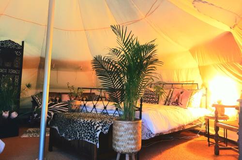 a bedroom with a bed in a tent at Wild Retreat in Cawston