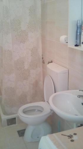 Ivana apartman free private parking