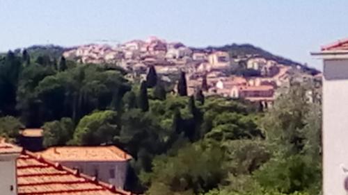 Ivana apartman free private parking