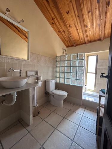 a bathroom with a sink and a toilet at El Raval d'Or, casa de 1900 in Busot