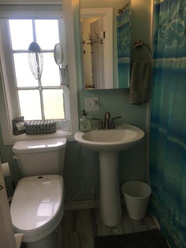 a bathroom with a toilet and a sink and a window at Historic 1850 Log Cabin in Westminster