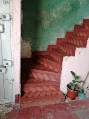 a brick staircase with a potted plant next to it at Casa familiar in Soacha