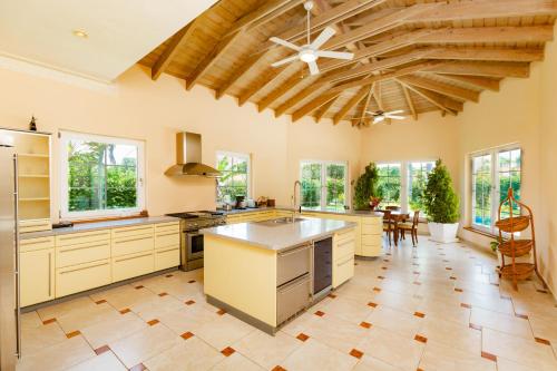 Η κουζίνα ή μικρή κουζίνα στο Exclusive Villa at Hideaway Beach